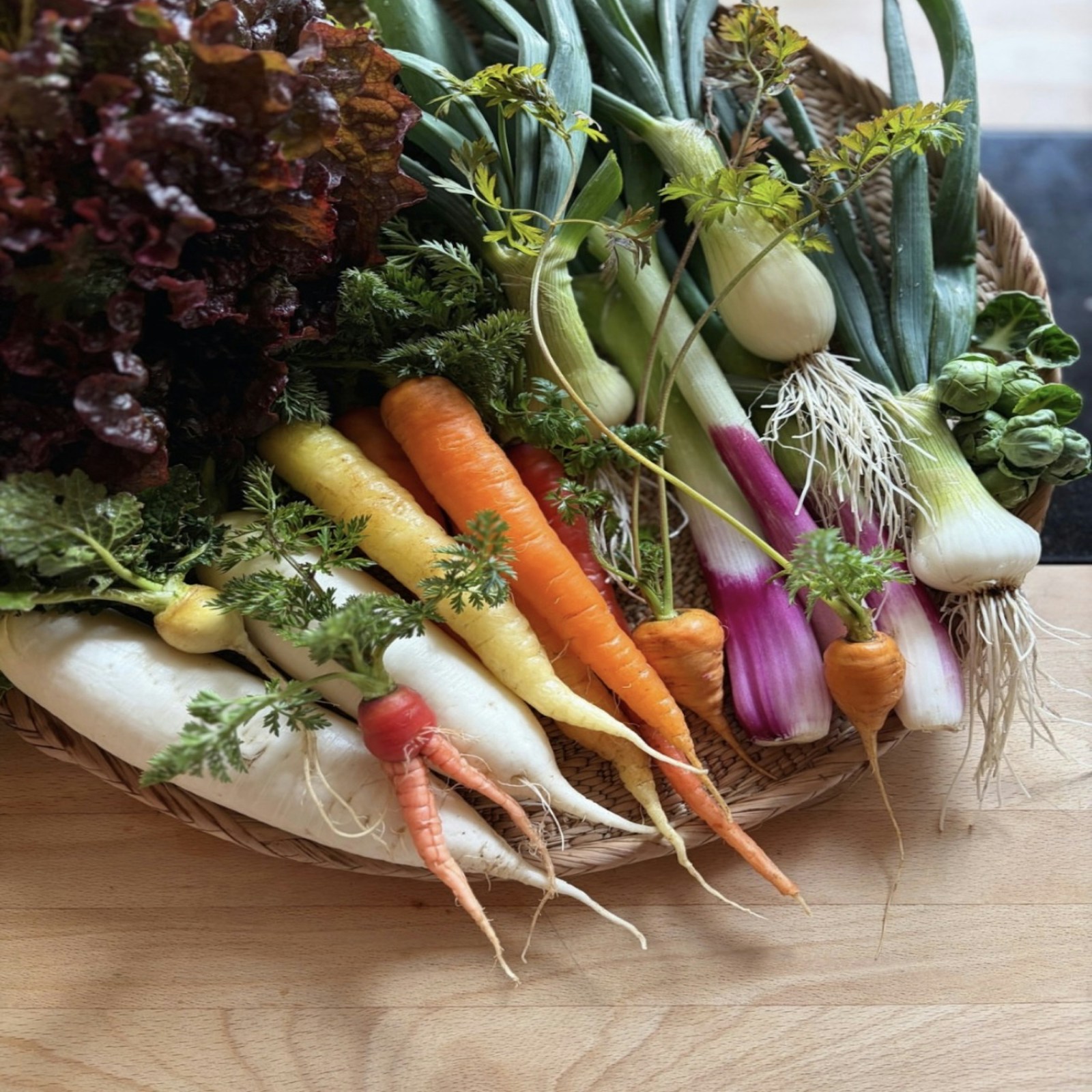 Kurv med gulrøtter, reddiker, vårløk og salat